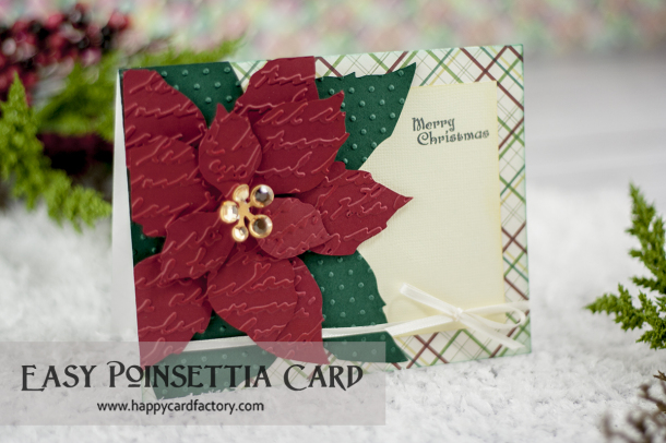 poinsettia 3