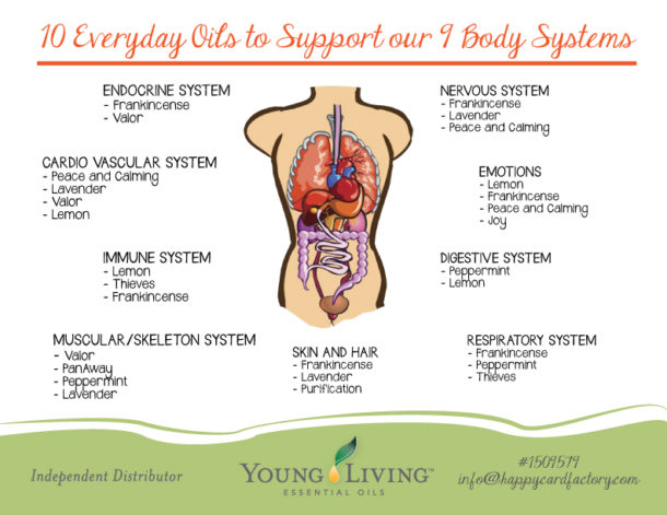 10-Everyday-Oils-for-9-Body-Systems