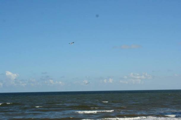 Gulf-of-Mexico-at-Galveston